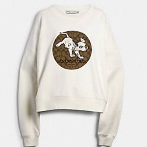 Coach Disney Dalmatian sweater